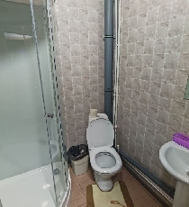 ���� ������