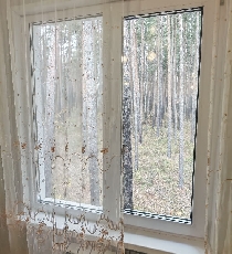 ���� ������