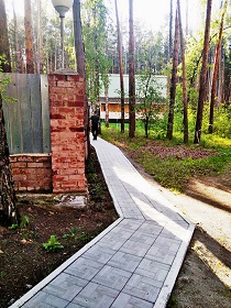 фото еловое