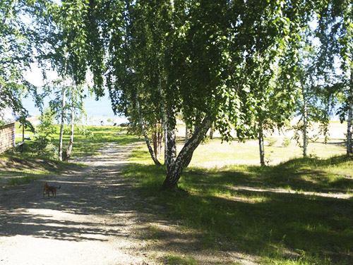 description