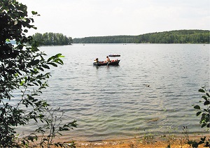 фото еловое