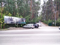 фото еловое